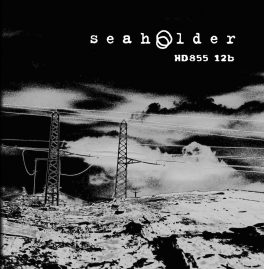 Seaholder